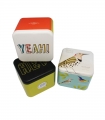 Ceas Fossil Nate JR1401
